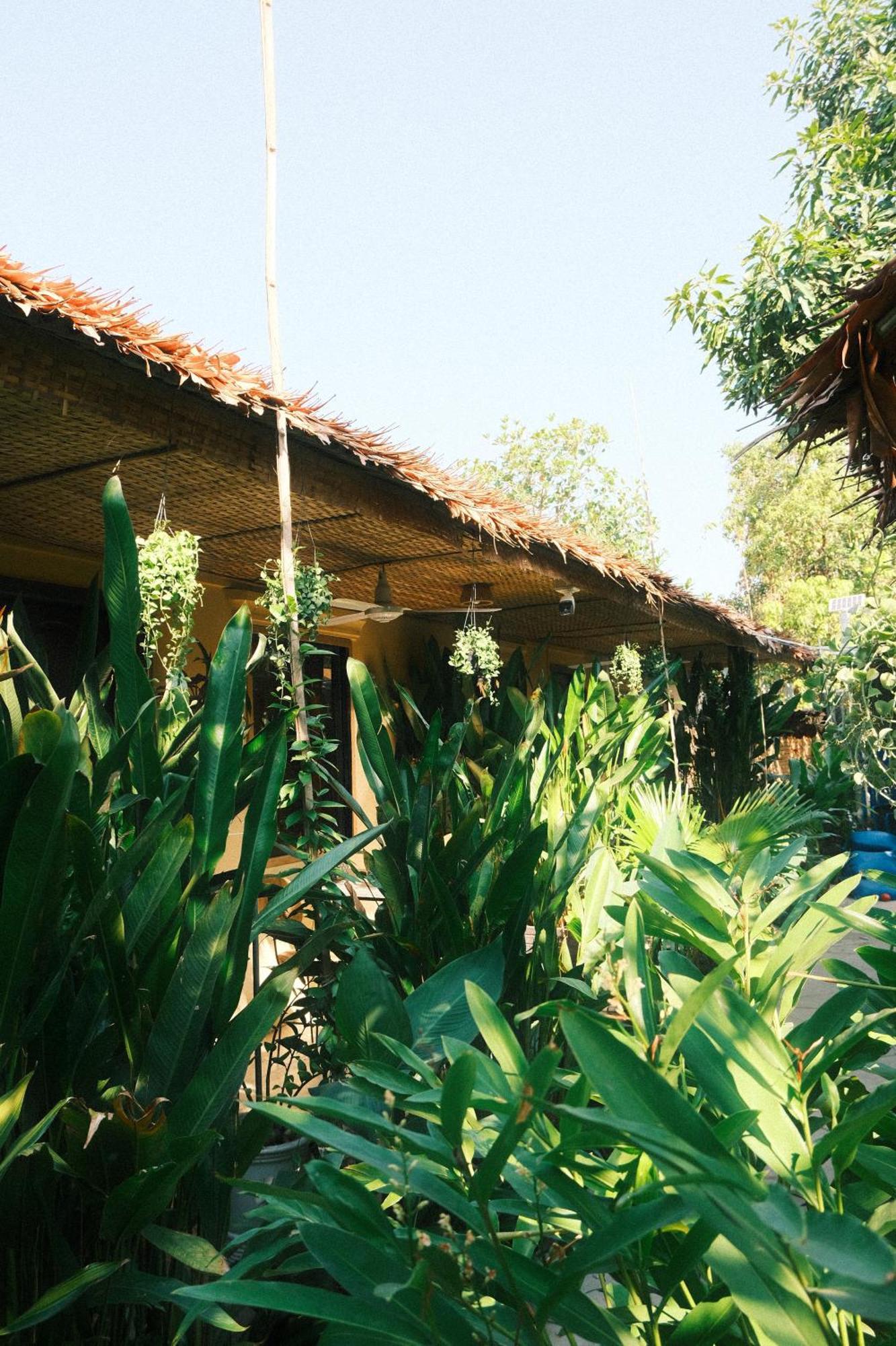 Siem Reap Homesteading II Luaran gambar